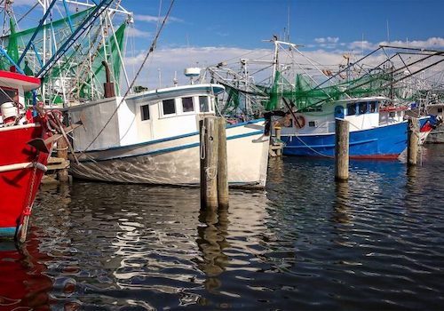 Boats in the marina in Waveland