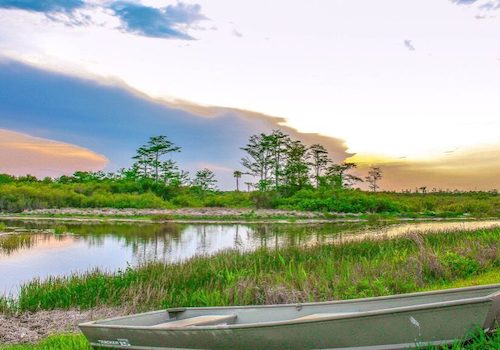 Bayou View of Gautier